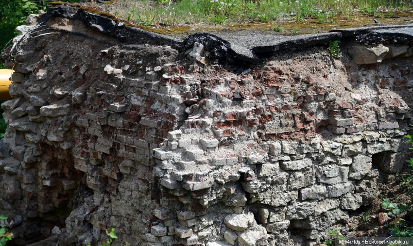 Молли на Дне города Торжка, продолжение