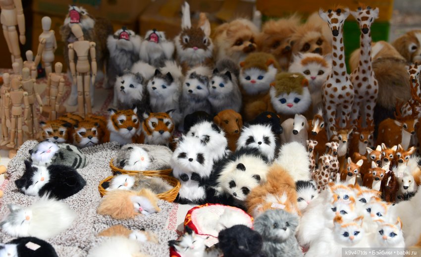 Молли на Дне города Торжка, продолжение