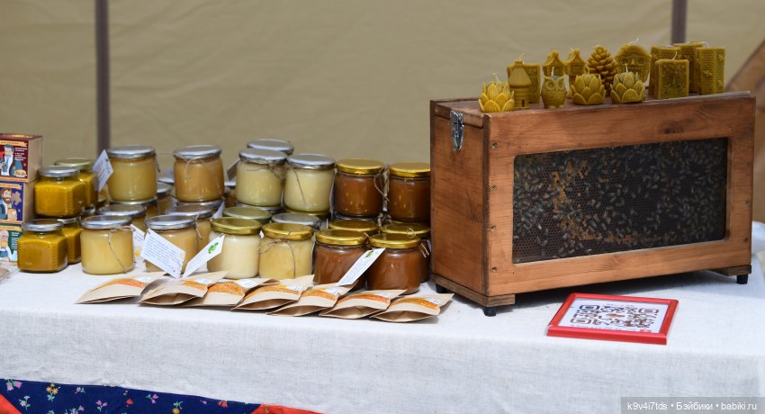 Молли на Дне города Торжка, продолжение