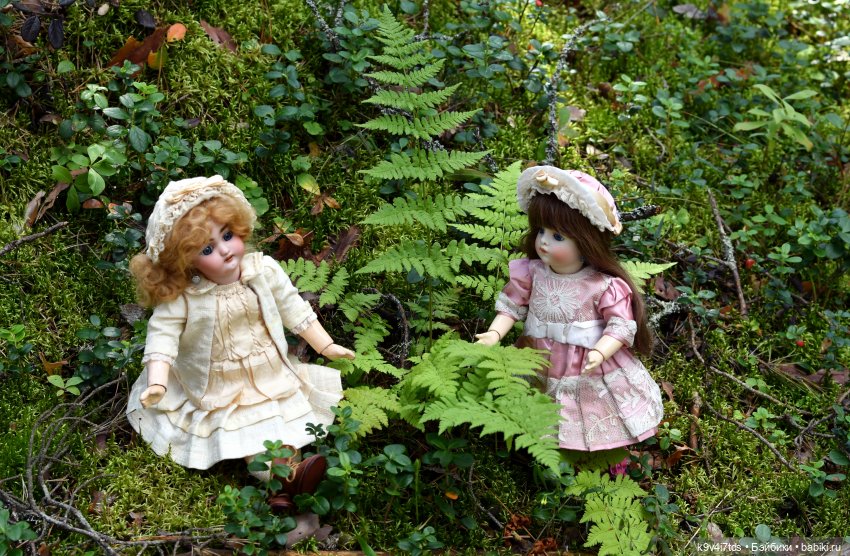 За брусникой в Дивный Лес (фото 4)