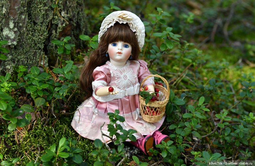 За брусникой в Дивный Лес (фото 2)