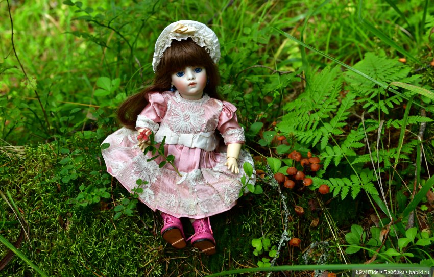 За брусникой в Дивный Лес