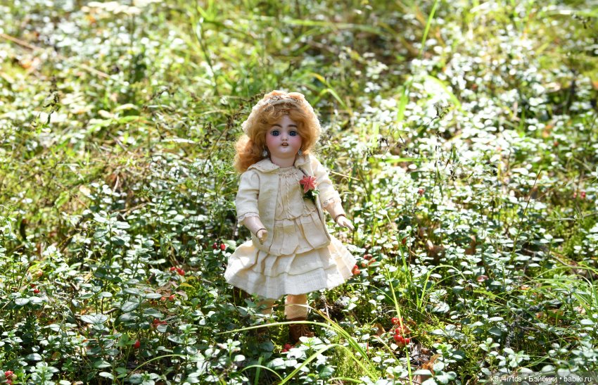 За брусникой в Дивный Лес (фото 7)