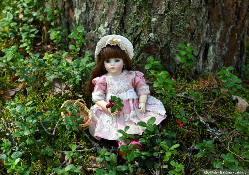 За брусникой в Дивный Лес