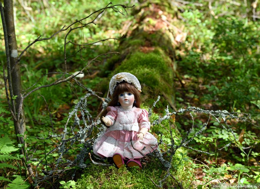 За брусникой в Дивный Лес