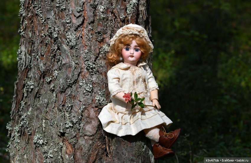 За брусникой в Дивный Лес (фото 6)