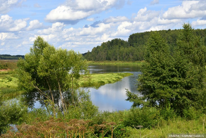 За брусникой в Дивный Лес