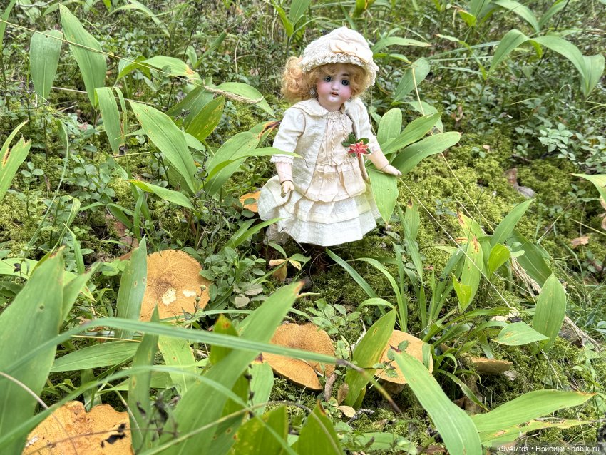 За брусникой в Дивный Лес (фото 9)