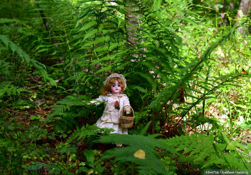 За брусникой в Дивный Лес