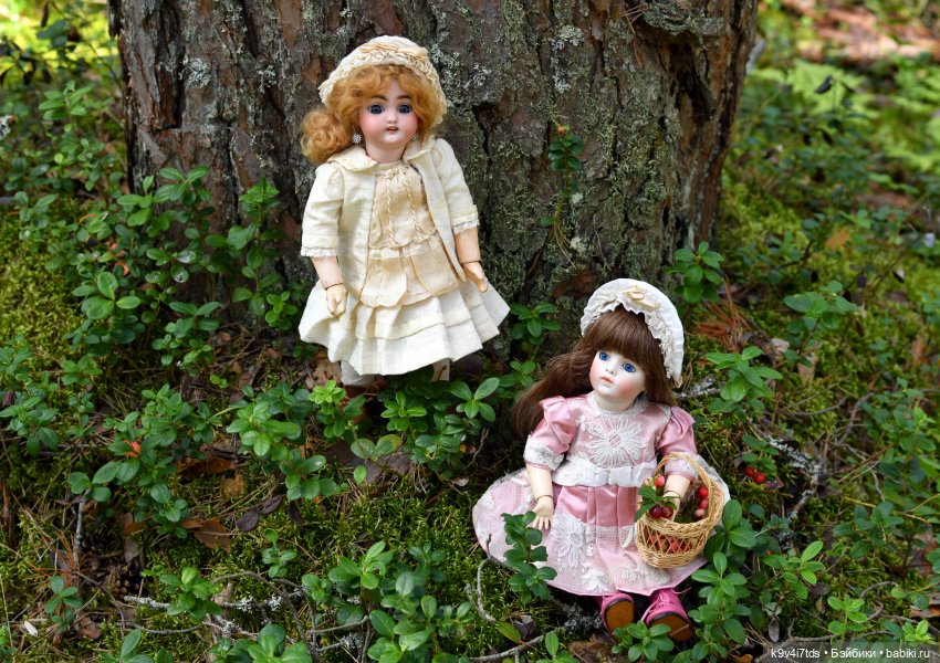 За брусникой в Дивный Лес (фото 3)