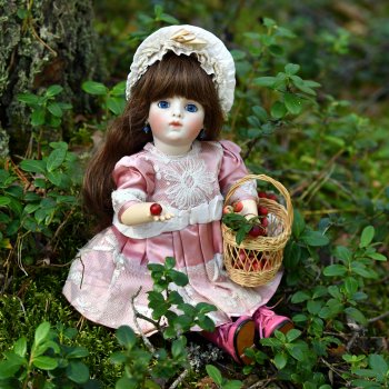 За брусникой в Дивный Лес