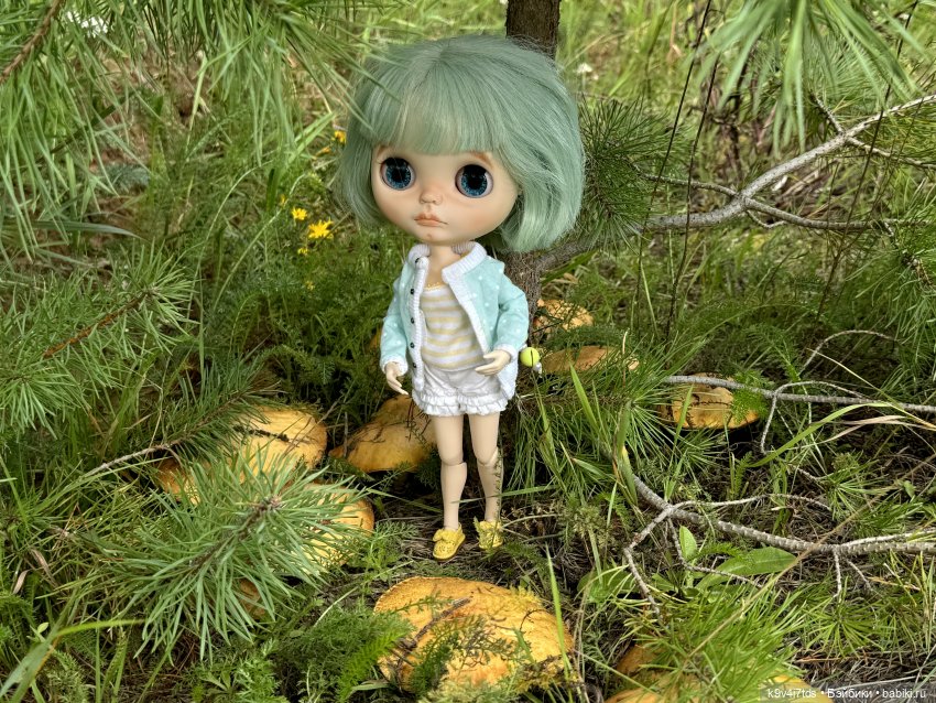 Августовское путешествие Нийи