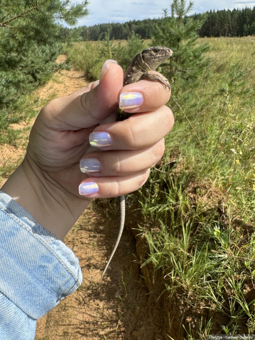 Августовское путешествие Нийи