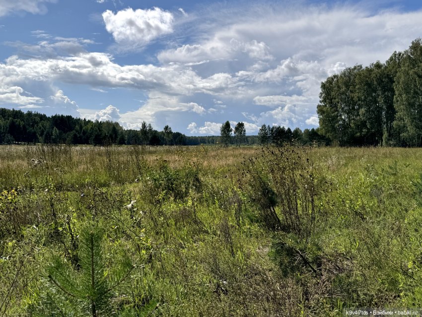 Августовское путешествие Нийи