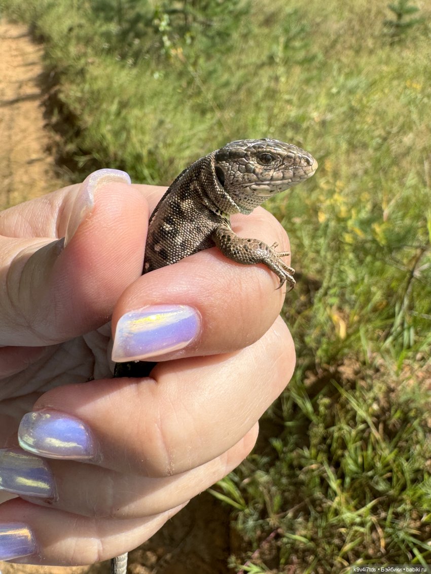 Августовское путешествие Нийи