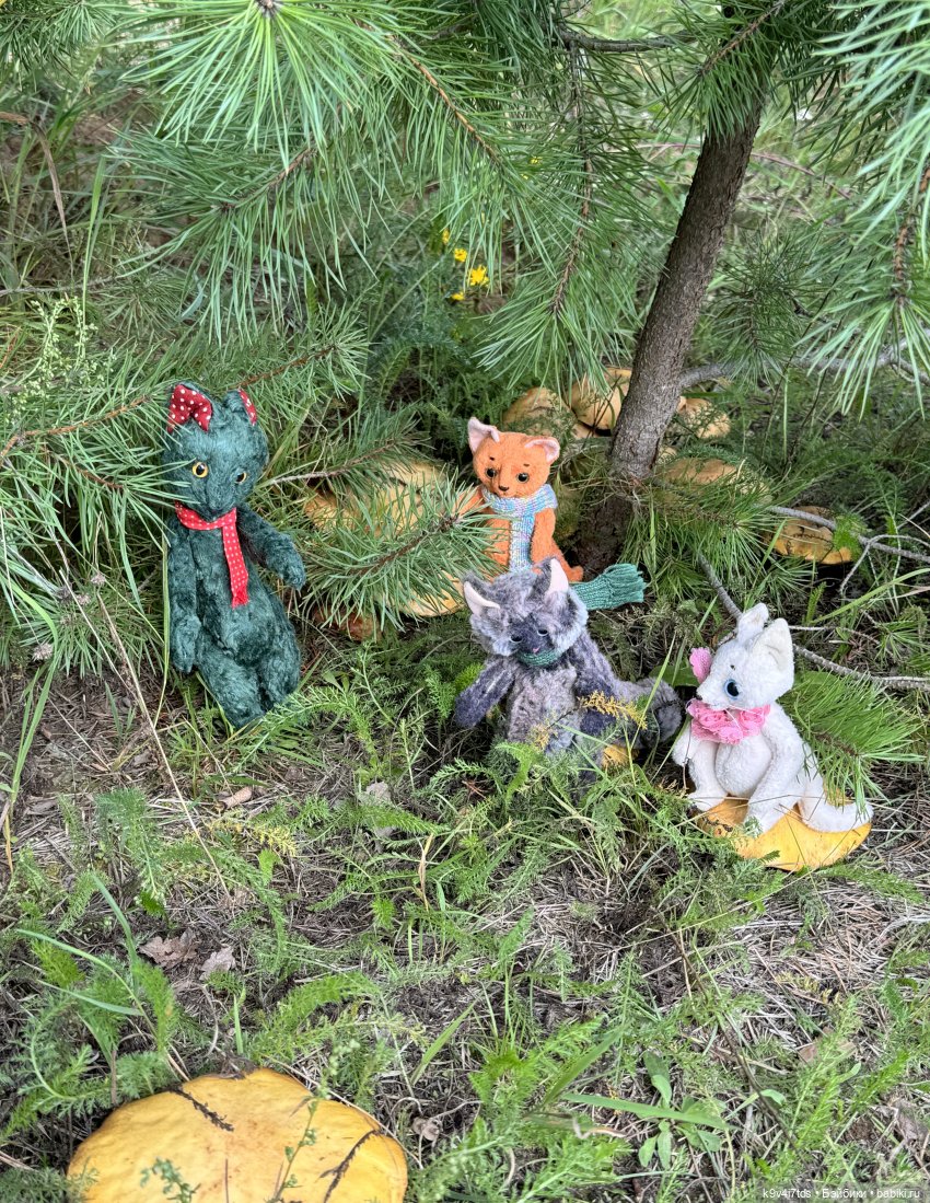 Августовское путешествие Нийи