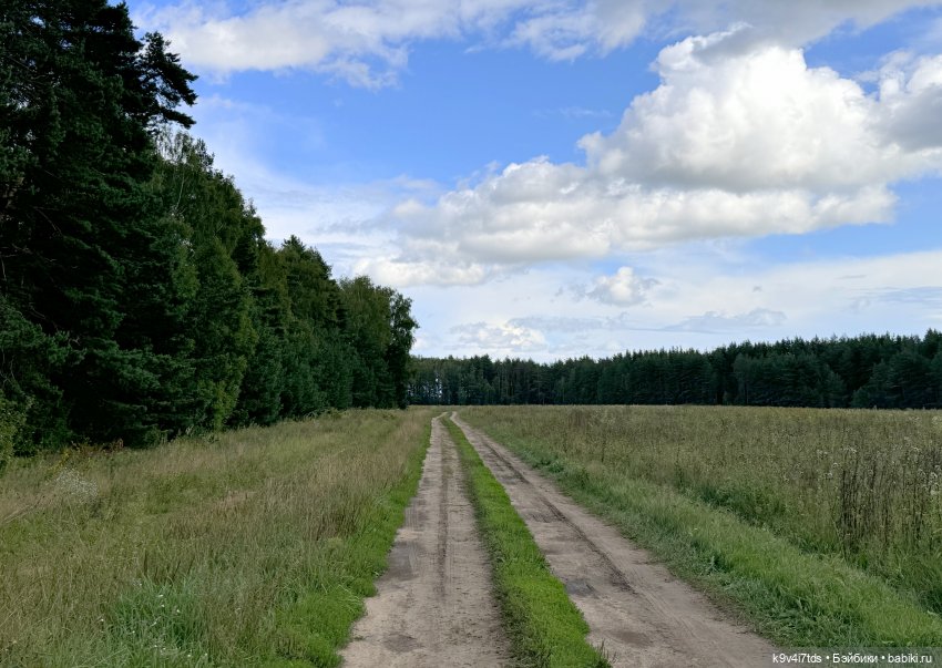 Августовское путешествие Нийи