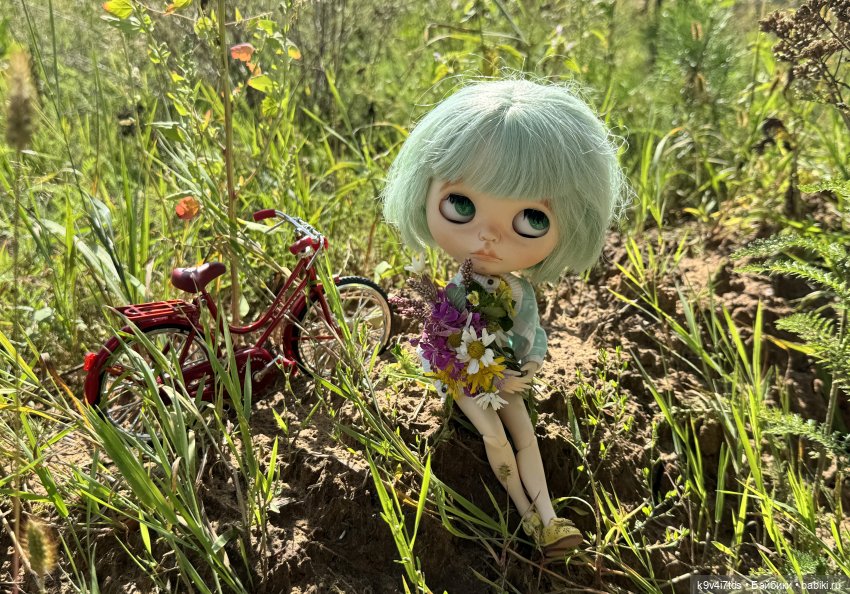 Августовское путешествие Нийи