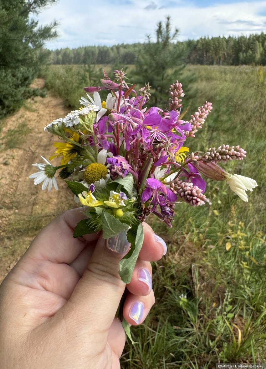 Августовское путешествие Нийи