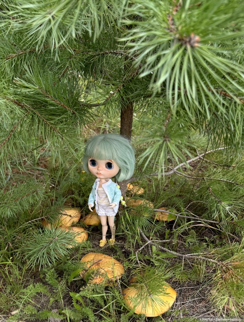 Августовское путешествие Нийи