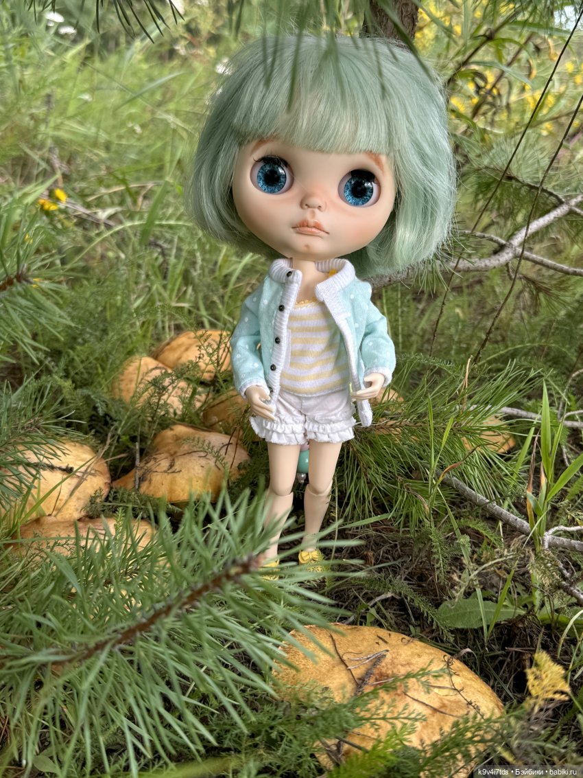 Августовское путешествие Нийи