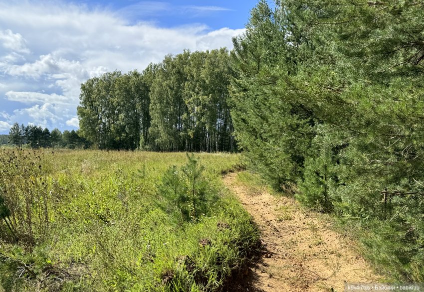 Августовское путешествие Нийи