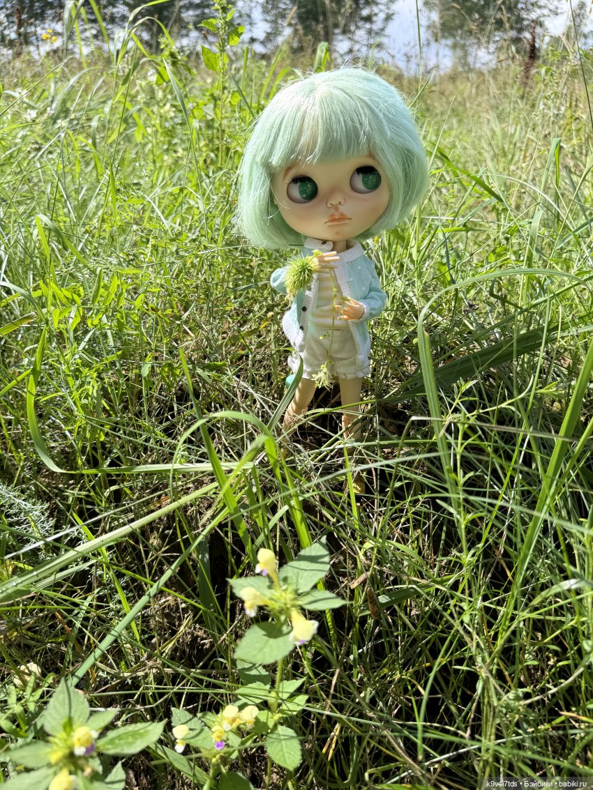 Августовское путешествие Нийи (фото 6)