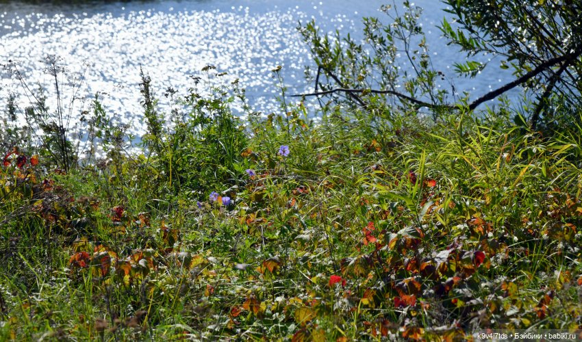 Нийя и Патрик на Тьме — Куклы Blythe (Блайз) ООАК: кастом