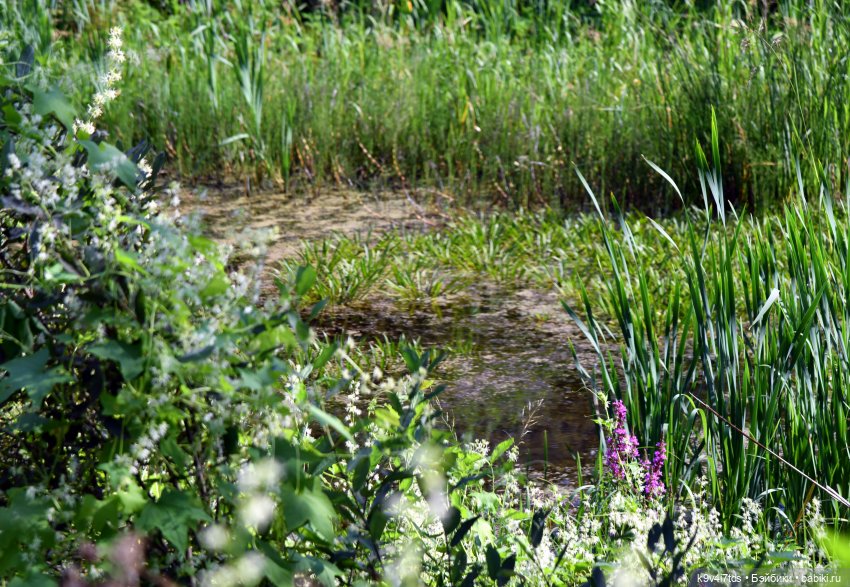 Нийя и Патрик на Тьме — Куклы Blythe (Блайз) ООАК: кастом