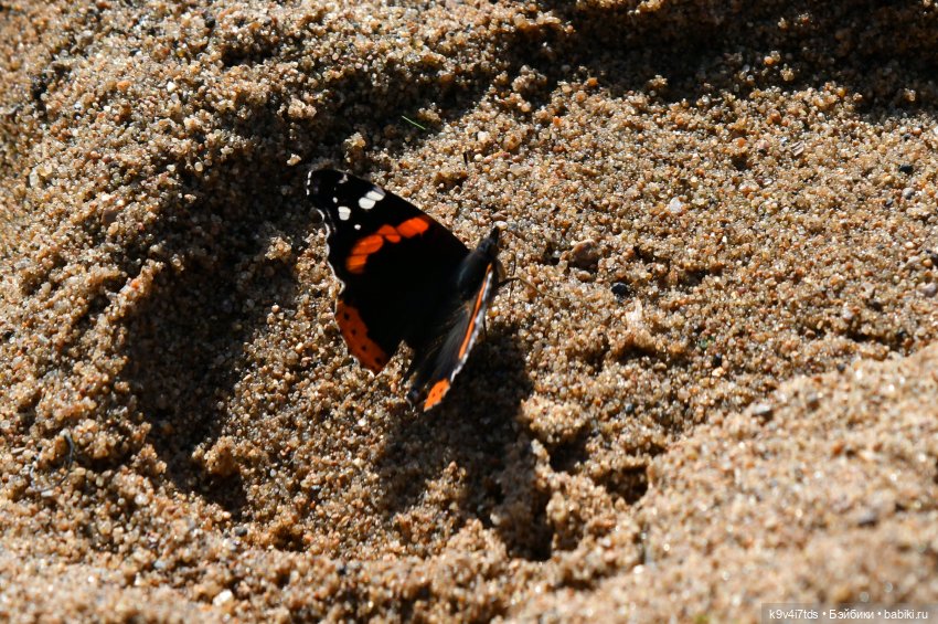 Нийя и Патрик на Тьме — Куклы Blythe (Блайз) ООАК: кастом