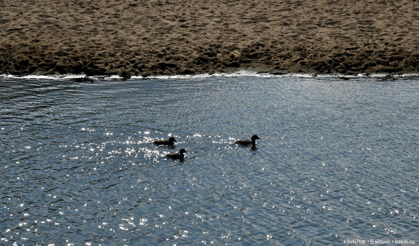 Нийя и Патрик на Тьме — Куклы Blythe (Блайз) ООАК: кастом