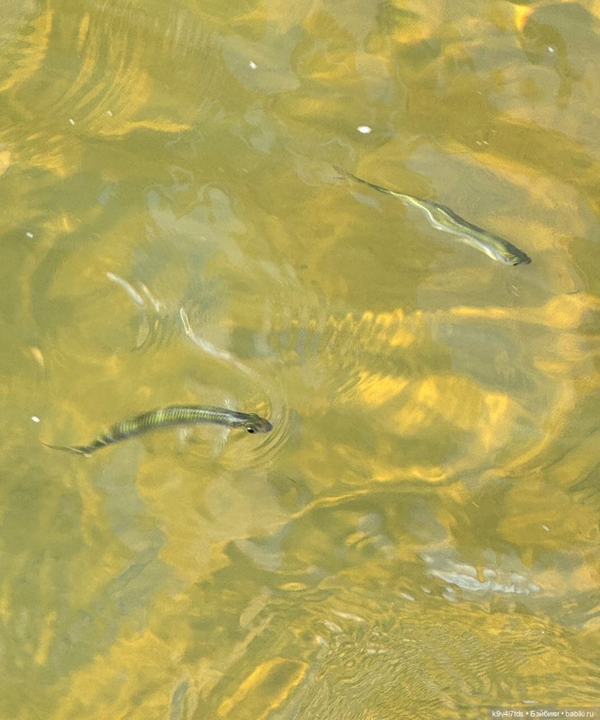 Нийя и Патрик на Тьме — Куклы Blythe (Блайз) ООАК: кастом (фото 8)