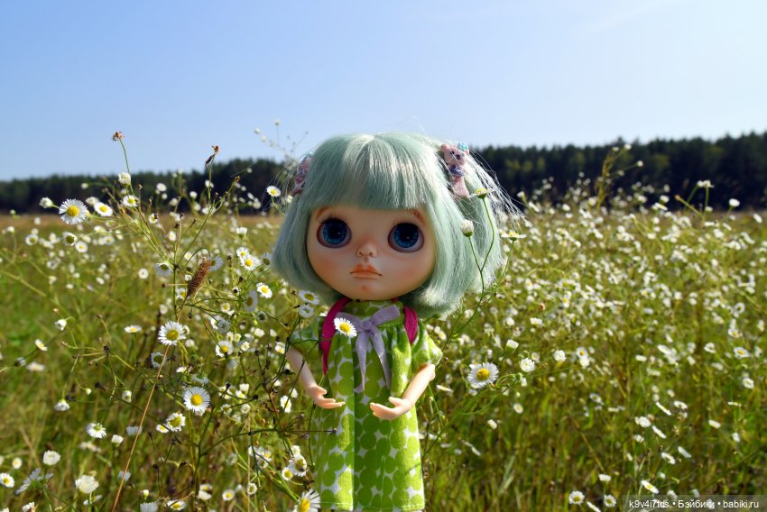 Путешествие в Лесную Сказку