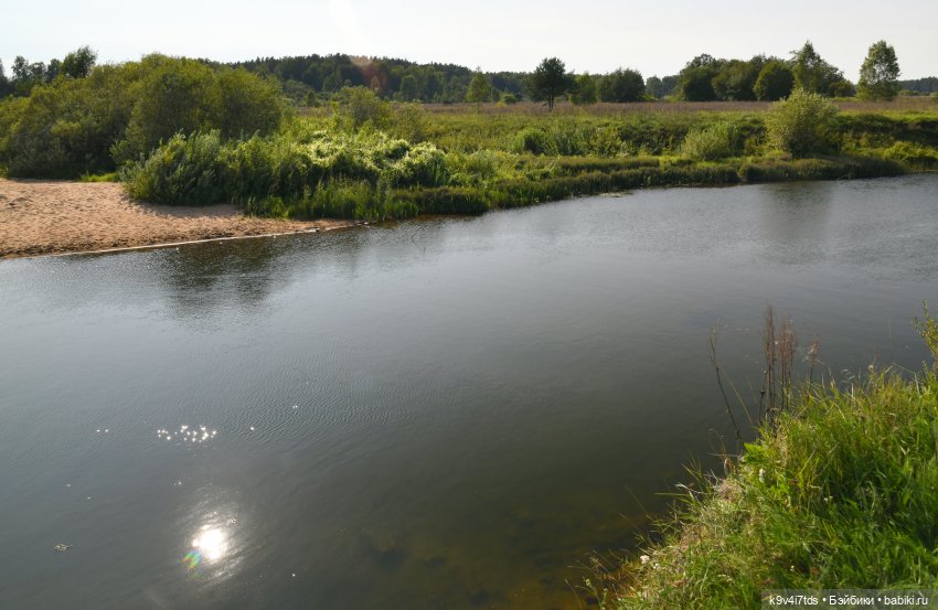 Путешествие в Лесную Сказку