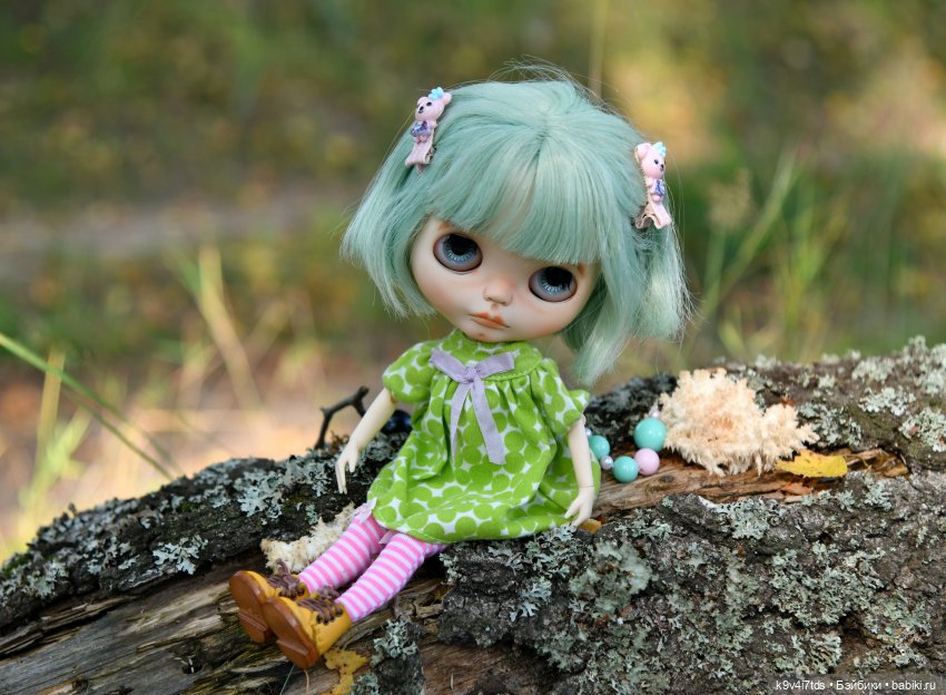 Путешествие в Лесную Сказку