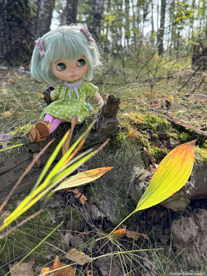 Путешествие в Лесную Сказку