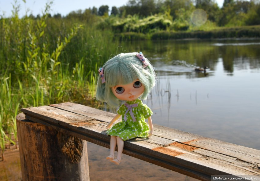 Путешествие в Лесную Сказку