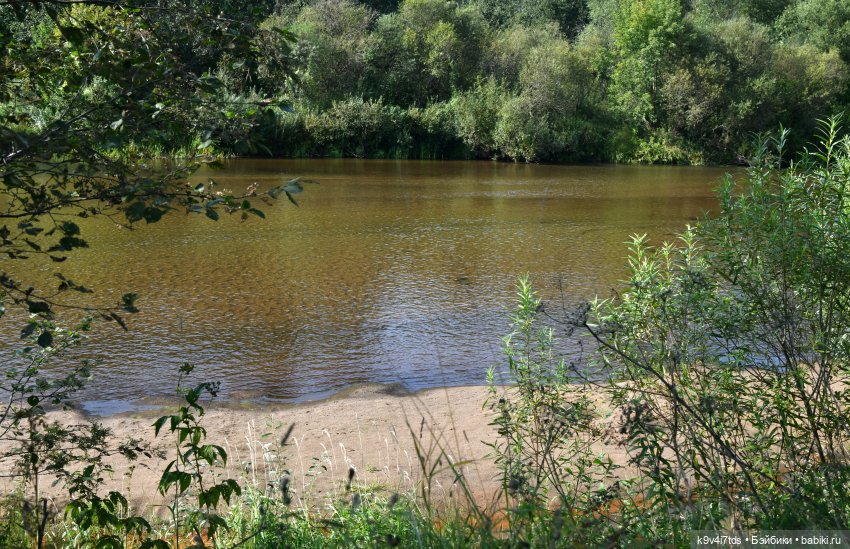 Путешествие в Лесную Сказку