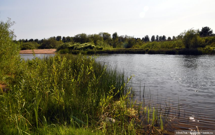 Путешествие в Лесную Сказку