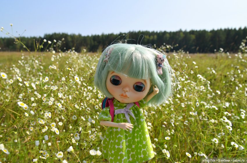 Путешествие в Лесную Сказку