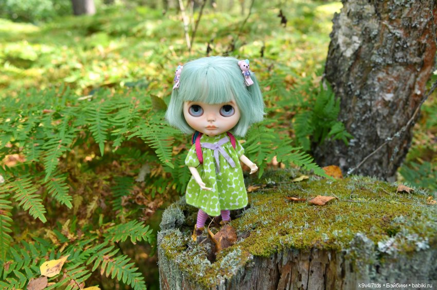 Путешествие в Лесную Сказку (фото 6)