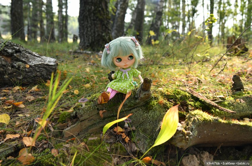 Путешествие в Лесную Сказку