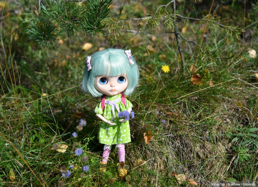 Путешествие в Лесную Сказку (фото 9)