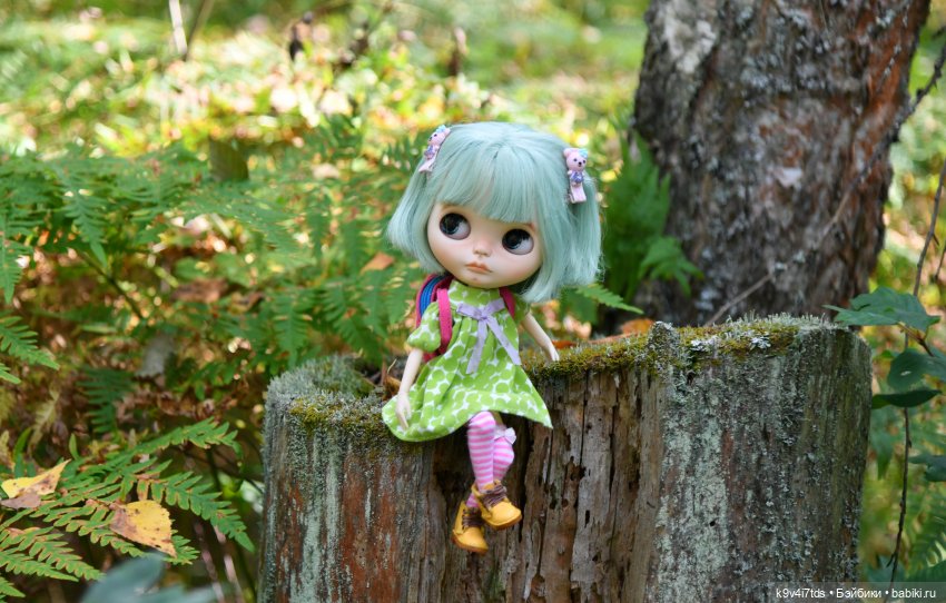 Путешествие в Лесную Сказку (фото 8)