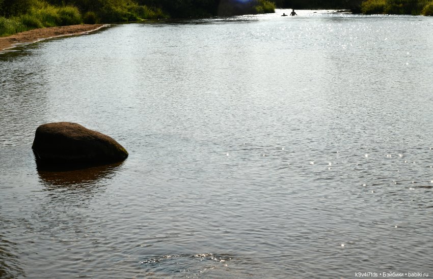 Путешествие в Лесную Сказку