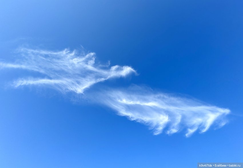 Имани — Куклы Kaye Wiggs (Кайе Виггс): авторские BJD (БЖД) (фото 3)