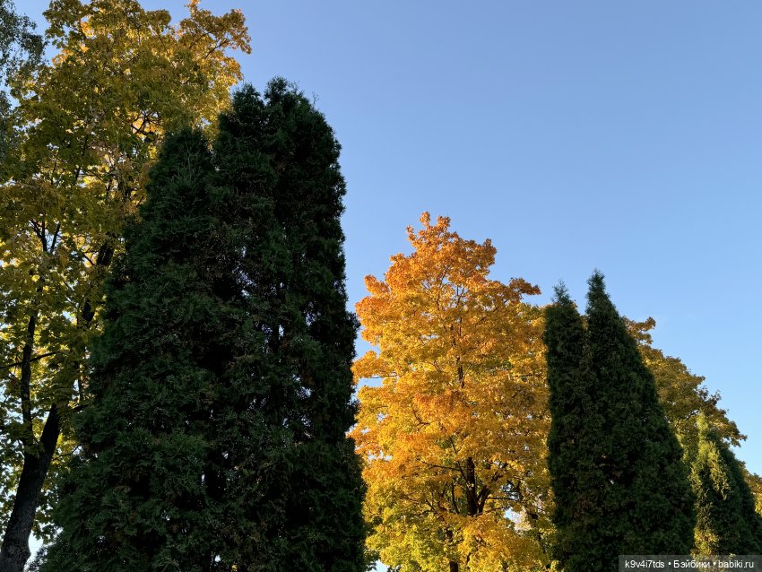 Золотая Осень в Твери — Туризм и путешествия: фотоотчеты из поездок