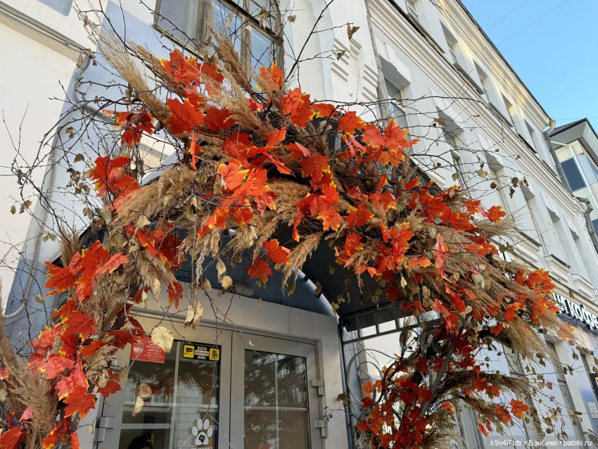 Золотая Осень в Твери — Туризм и путешествия: фотоотчеты из поездок (фото 3)