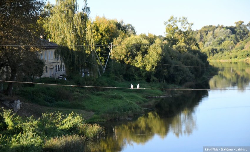 Балерины и Жу в Торжке — Куклы Sindy (Синди) и Tammy (Тамми): винтаж