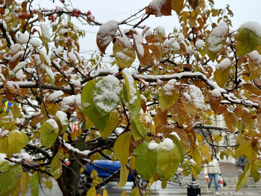 Ноябрьская Тверь, прогулка по Трёхсвятской улице